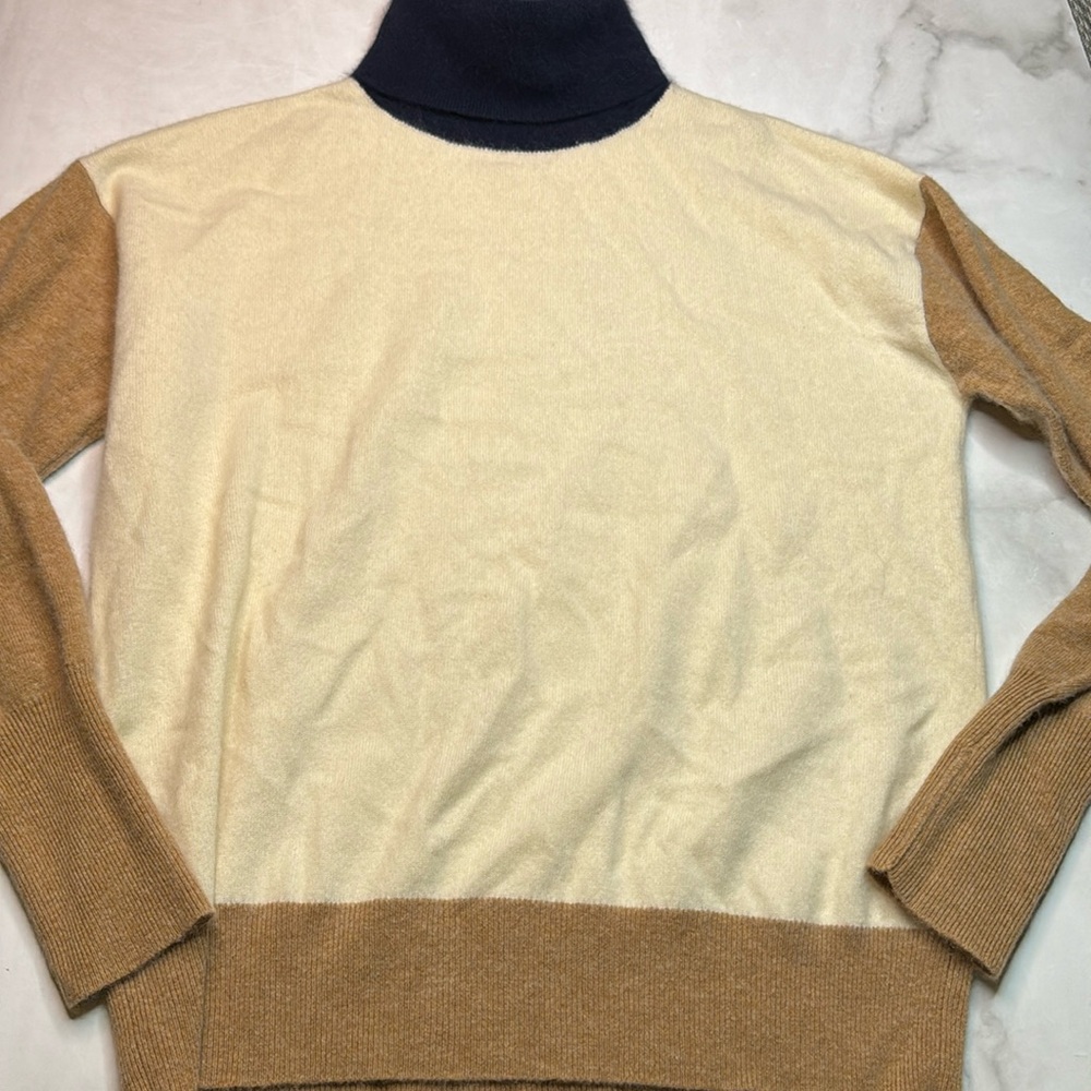 Demylee Colorblock Turtleneck Sweater